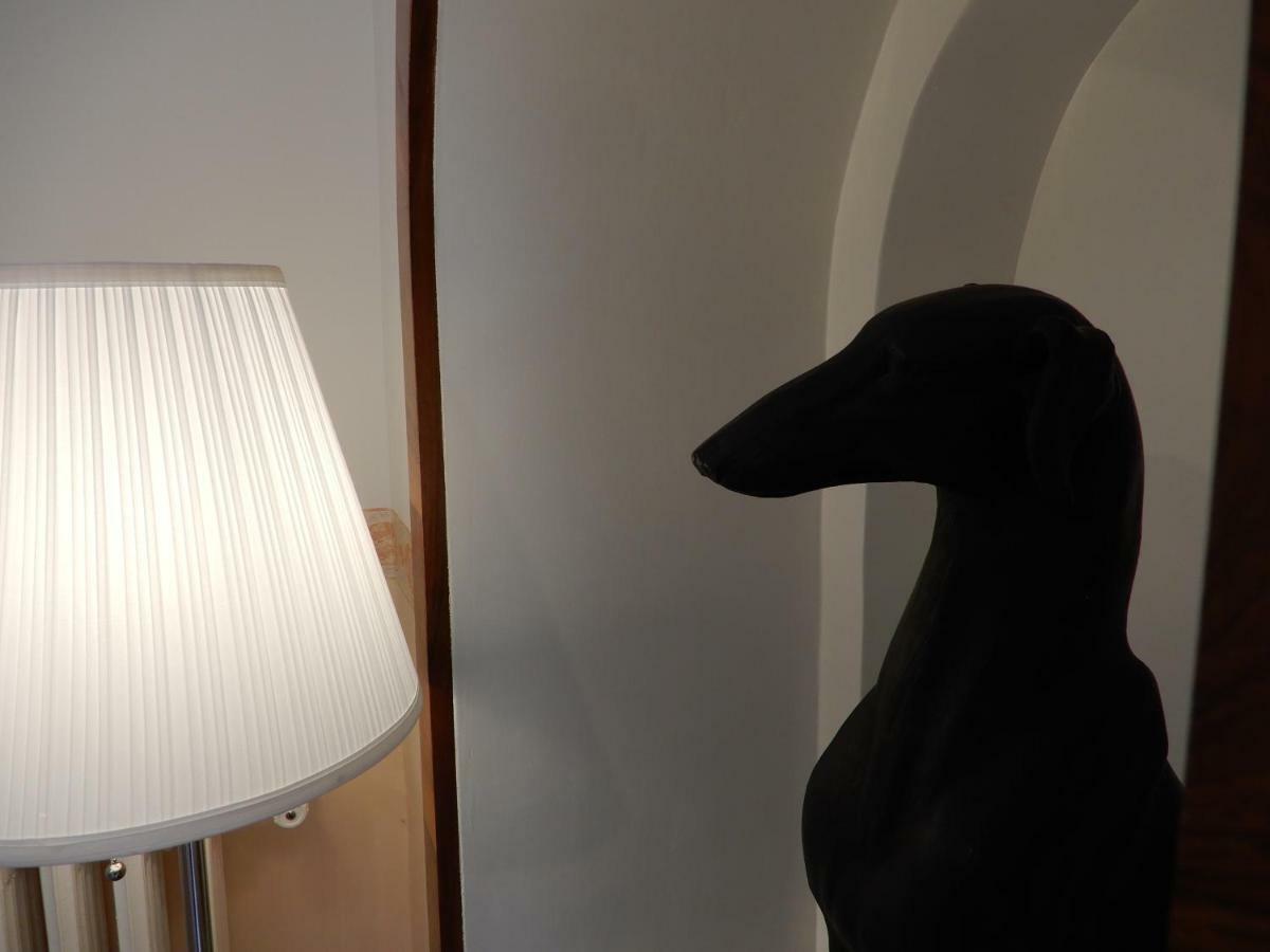 カンポバッソ Luciano And Son Bed & Breakfast エクステリア 写真